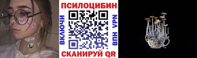 Купить где  Покров  Псилоцибиновые грибы Psilocybe 